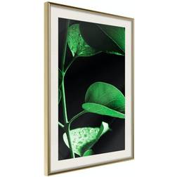 Arkiio Affisch Plant in Black [Poster] 40x60 Poster